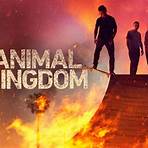 Animal Kingdom (TV series) Season 61