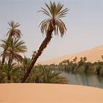 the sahara desert4