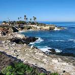 where are the best places to see seals and sea lions in la jolla ca condominiums for sale3