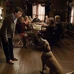 Ein Hund namens Weihnachten Film4