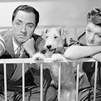 the thin man (film) movie1