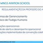 wings escola de aviação1