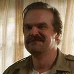 does david harbour have a good acting career in business4