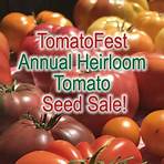 tomato seeds for sale heirloom1