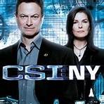 CSI: Nueva York3