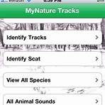 Animal Tracks [US] The Animals3