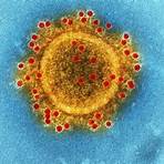 virus grippe4