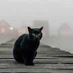 raças de gatos pretos4