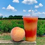 famous peaches in georgia2