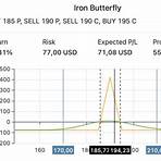 iron butterfly options strategy4