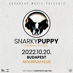 Live at GroundUP Music Festival Snarky Puppy1