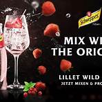 wildberry lillet cocktail4