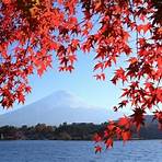 Mount Fuji wikipedia3