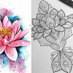 flor de lótus desenho colorida2