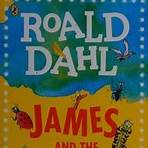 roald dahl biography3