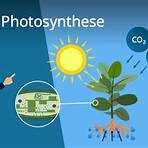 oxygene photosynthese2