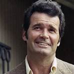 The Rockford Files: If It Bleeds... It Leads movie1