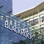 BlackRock wikipedia3
