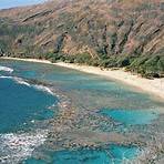 Hawaii wikipedia1