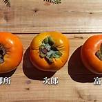 台灣甜柿價格3