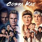 cobra kai tv show where to watch4