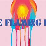The Flaming Lips1