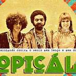 Tropicalia music2