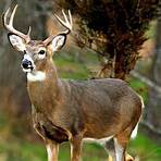 Where is the best hunting area in PA?1