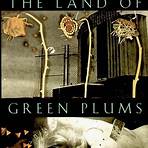 The Land of Green Plums4