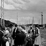 flüchtlinge und vertriebene nach 19452