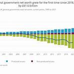 what is back of the net worth definition government examples3