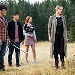 The Librarians2