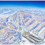 what is the blue ridge region famous for skiing4