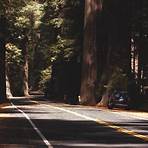 Redwood City, California, Estados Unidos4