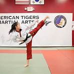 american tigers martial arts schedule4