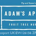 adam's apples for sale2