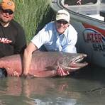 world record salmon2