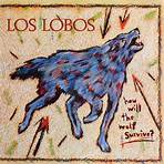 How Will the Wolf Survive? Los Lobos2