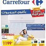 carrefour promotion catalogue4