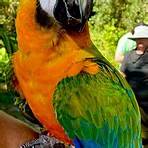 Bird Gardens of Naples Naples, FL2