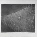 Vija Celmins3