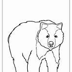 imagem de urso para imprimir1