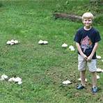 Where can I find a fairy ring?3