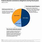 What is the current federal disaster management structure?3