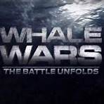Whale Productions (season 1)3
