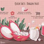 little dragon fruit3