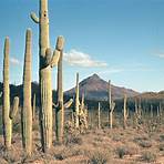 Pima County, Arizona wikipedia4