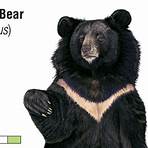 bear mccreary wikipedia and family tree4