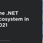 is net still popular in 20211