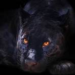 pantera negra animal de poder3